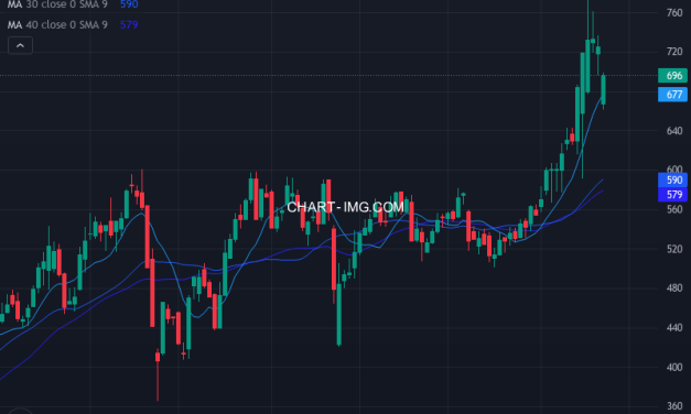 水戸証券 (8622) — ファンダメンタル分析 | Fundamental Analysis