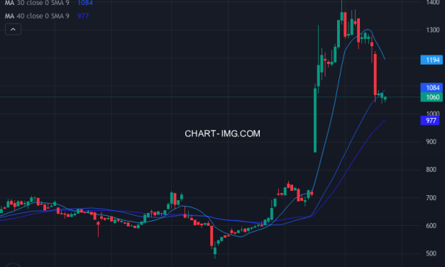 ウェーブロックホールディングス (7940) — ファンダメンタル分析 | Fundamental Analysis