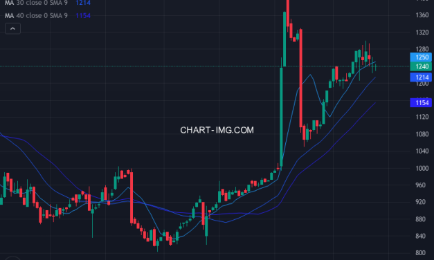 ＡＢ＆Ｃｏｍｐａｎｙ (9251) — ファンダメンタル分析 | Fundamental Analysis