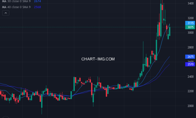 ツツミ (7937) — ファンダメンタル分析 | Fundamental Analysis