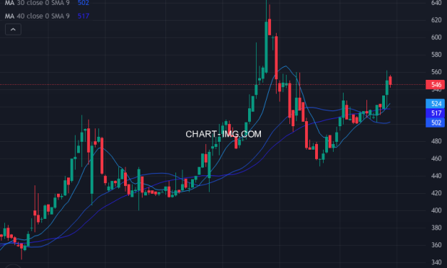 鉄人化ホールディングス (2404) — ファンダメンタル分析 | Fundamental Analysis