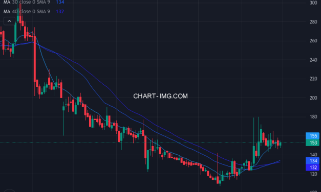 ひらまつ (2764) — ファンダメンタル分析 | Fundamental Analysis