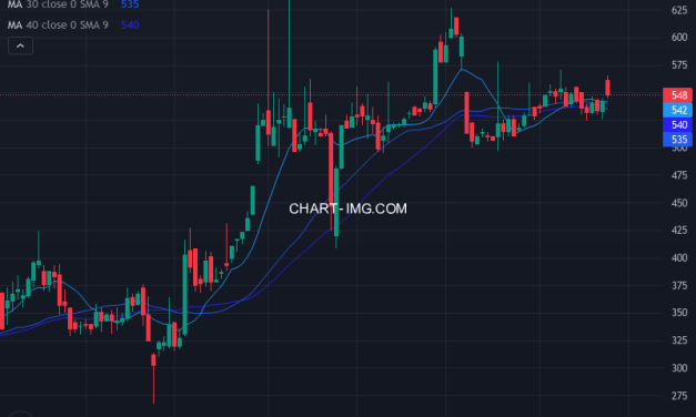 パルマ (3461) — ファンダメンタル分析 | Fundamental Analysis