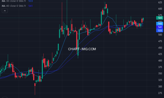 パルマ (3461) — ファンダメンタル分析 | Fundamental Analysis