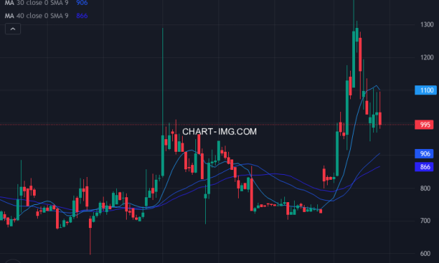 室町ケミカル (4885) — ファンダメンタル分析 | Fundamental Analysis