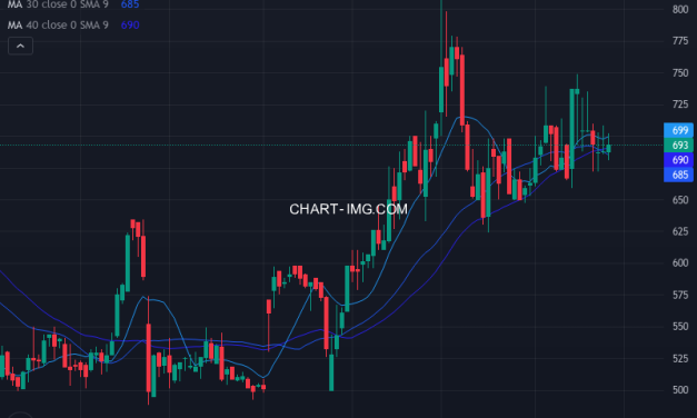 Ｚｅｎｋｅｎ (7371) — ファンダメンタル分析 | Fundamental Analysis