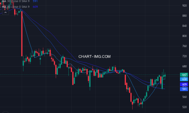 アトム (7412) — ファンダメンタル分析 | Fundamental Analysis