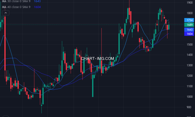 イメージ・マジック (7793) — ファンダメンタル分析 | Fundamental Analysis