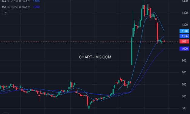 ウェーブロックホールディングス (7940) — ファンダメンタル分析 | Fundamental Analysis