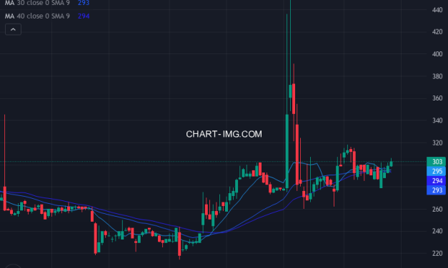 ナイガイ (8013) — ファンダメンタル分析 | Fundamental Analysis
