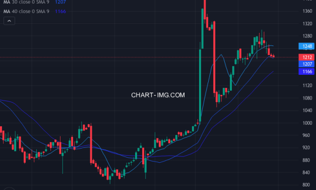 ＡＢ＆Ｃｏｍｐａｎｙ (9251) — ファンダメンタル分析 | Fundamental Analysis