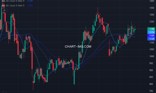 ファイズホールディングス (9325) — ファンダメンタル分析 | Fundamental Analysis