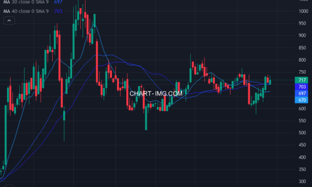 アイビス (9343) — ファンダメンタル分析 | Fundamental Analysis