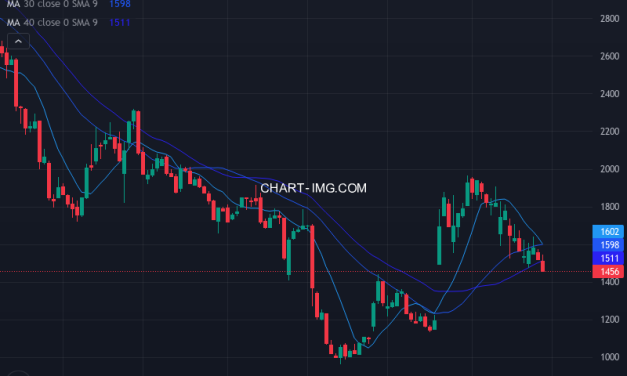 ラックランド (9612) — ファンダメンタル分析 | Fundamental Analysis