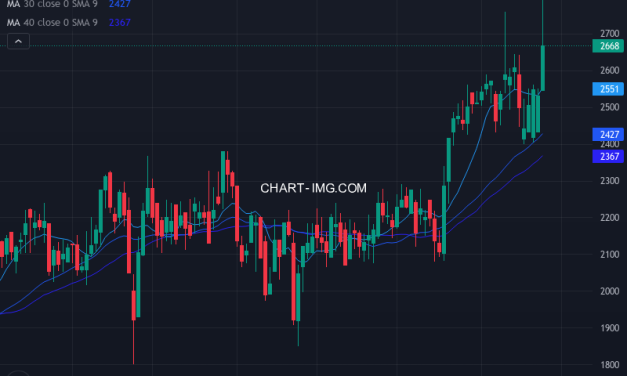 トーカイ (9729) — ファンダメンタル分析 | Fundamental Analysis
