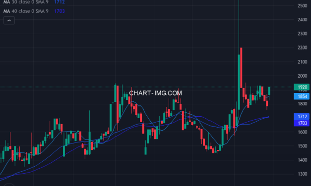 大丸エナウィン (9818) — ファンダメンタル分析 | Fundamental Analysis