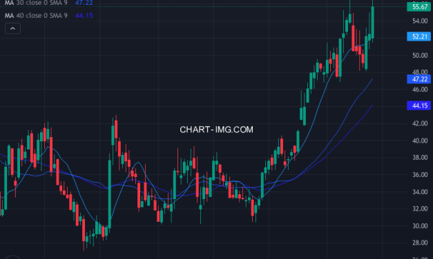 H World Group Limited (HTHT) — ファンダメンタル分析 | Fundamental Analysis