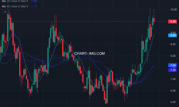 Viemed Healthcare, Inc. (VMD) — ファンダメンタル分析 | Fundamental Analysis