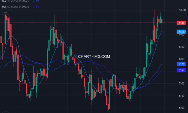 Viemed Healthcare, Inc. (VMD) — ファンダメンタル分析 | Fundamental Analysis