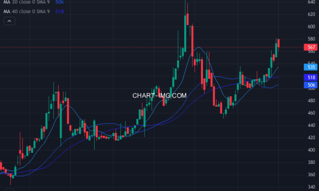 鉄人化ホールディングス (2404) — ファンダメンタル分析 | Fundamental Analysis