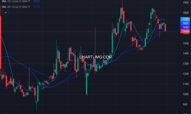 イメージ・マジック (7793) — ファンダメンタル分析 | Fundamental Analysis