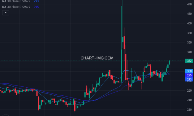 ナイガイ (8013) — ファンダメンタル分析 | Fundamental Analysis