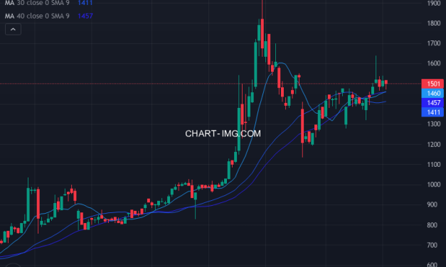ムーンバット (8115) — ファンダメンタル分析 | Fundamental Analysis