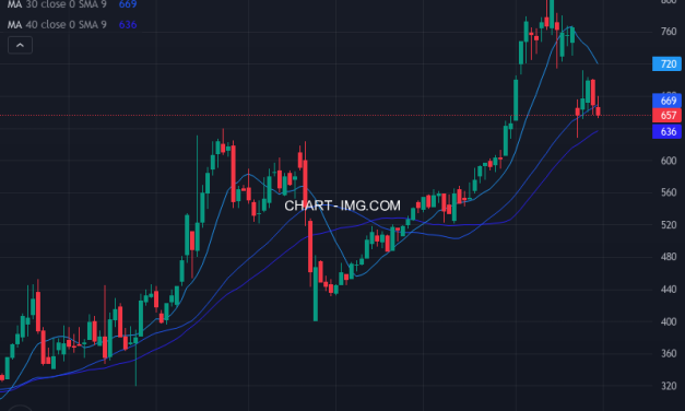 東洋証券 (8614) — ファンダメンタル分析 | Fundamental Analysis