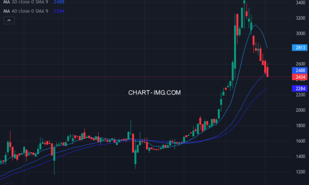豊トラスティ証券 (8747) — ファンダメンタル分析 | Fundamental Analysis