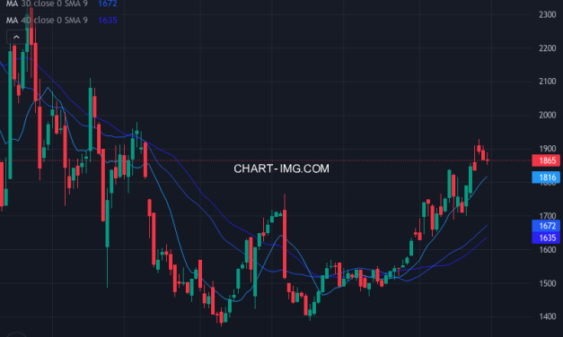 ビーウィズ (9216) — ファンダメンタル分析 | Fundamental Analysis