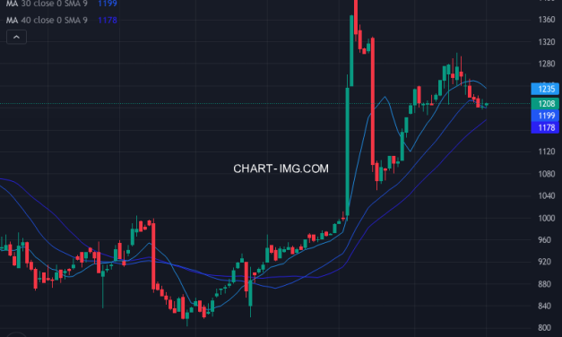 ＡＢ＆Ｃｏｍｐａｎｙ (9251) — ファンダメンタル分析 | Fundamental Analysis
