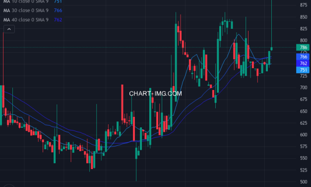 ＹＣＰホールディングス（グローバル）リミテッド　ＪＤＲ (9257) — ファンダメンタル分析 | Fundamental Analysis