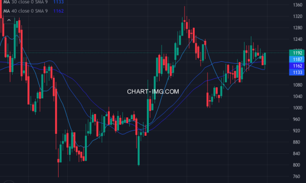 ファイズホールディングス (9325) — ファンダメンタル分析 | Fundamental Analysis