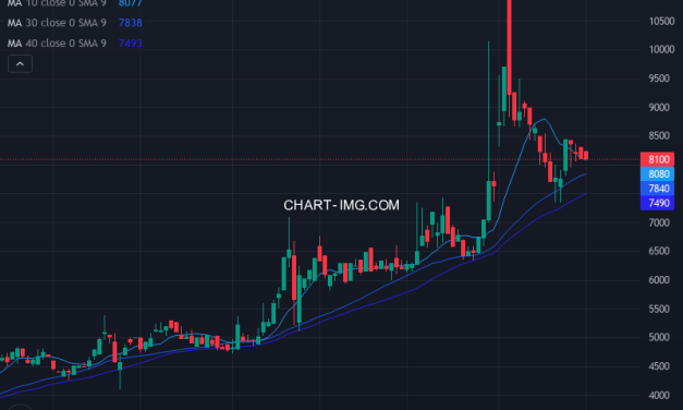 協和コンサルタンツ (9647) — ファンダメンタル分析 | Fundamental Analysis