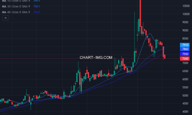 協和コンサルタンツ (9647) — ファンダメンタル分析 | Fundamental Analysis