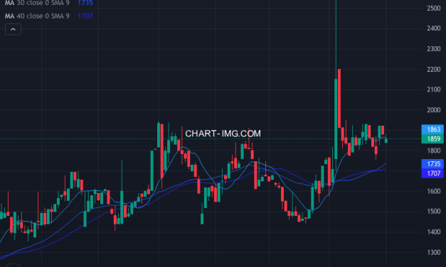 大丸エナウィン (9818) — ファンダメンタル分析 | Fundamental Analysis