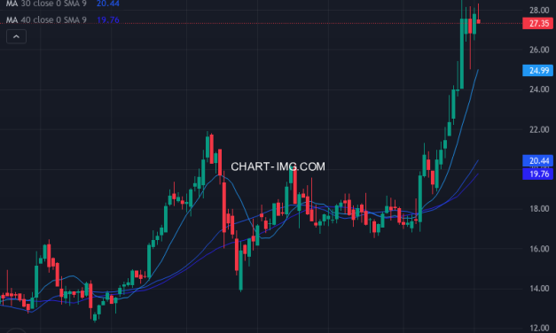 A10 Networks, Inc. (ATEN) — ファンダメンタル分析 | Fundamental Analysis