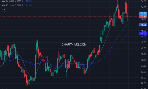 H World Group Limited (HTHT) — ファンダメンタル分析 | Fundamental Analysis