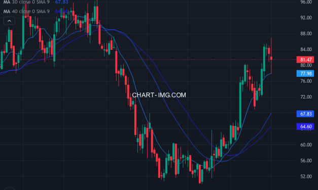 Spectrum Brands Holdings, Inc. (SPB) — ファンダメンタル分析 | Fundamental Analysis